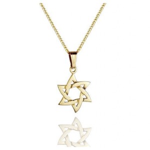 Star of David Pendant in 14k Yellow Gold Rafael Jewelry Designer Rafael Jewelry