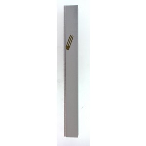 White Aluminum Mezuzah with Removable Panel and Gold Letter Shin by Adi Sidler Modern Judaica