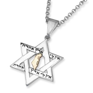 No Other Land Star of David Necklace Made From Sterling Silver and Gold Star of David Jewelry