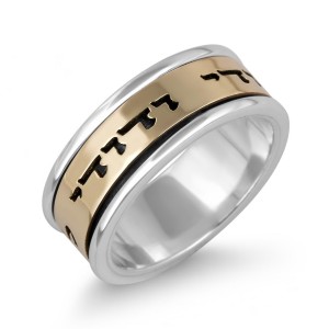 Sterling Silver Customizable English/Hebrew Ring With Gold Band (Optional Spinner) Bible Jewelry