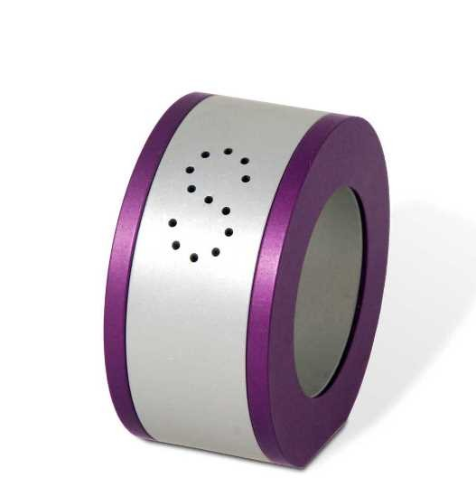 Silver Napkin Ring & Salt or Pepper Shaker with Color Trim in Purple